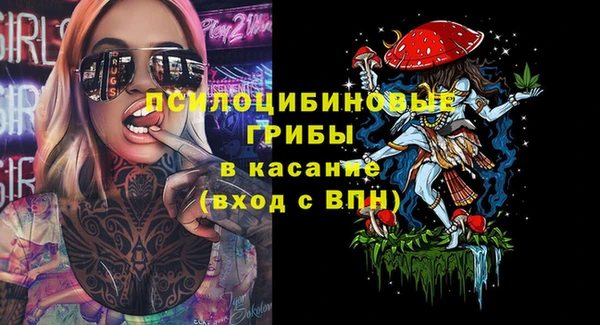 не бодяженный Алексин
