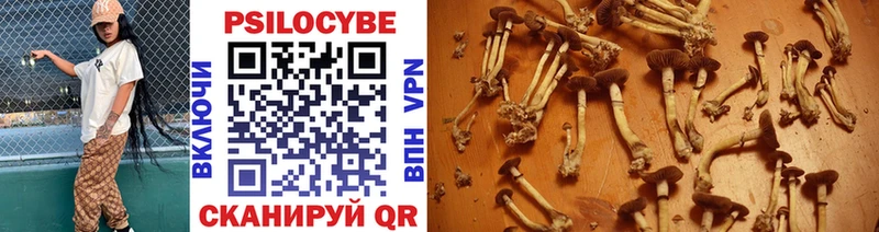 Псилоцибиновые грибы мухоморы  Пыталово 